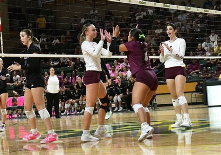 Age, Husband, And Volleyball Legacy