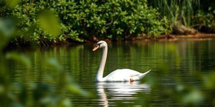 An Artistic Haven In Nature's Embrace