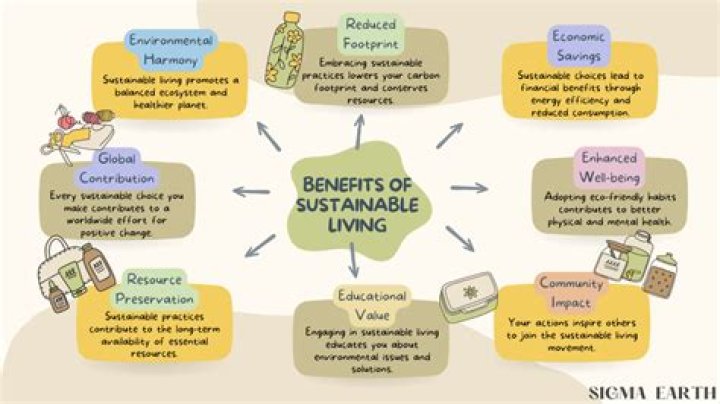 سکسون ماسک: Blending Sustainable Living with Smart Digital Habits
