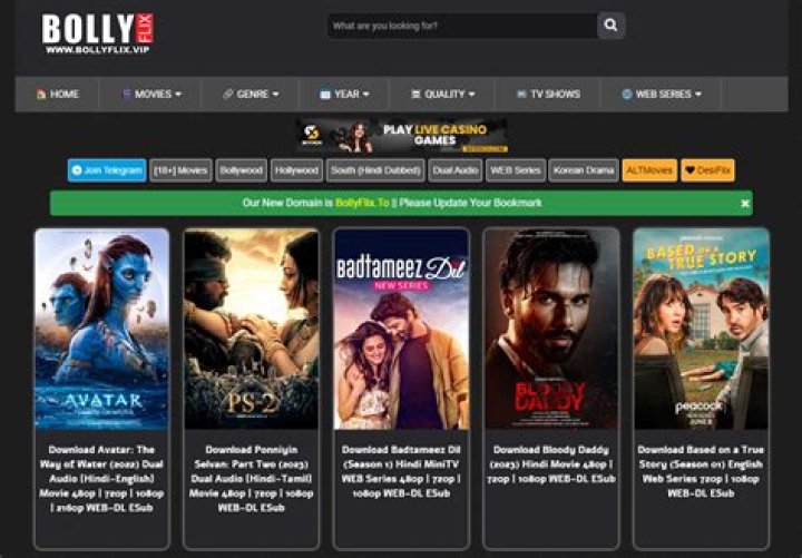 Bollyflix Unpacked: Your Go-To Spot for Indian Cinema &amp; Web Series