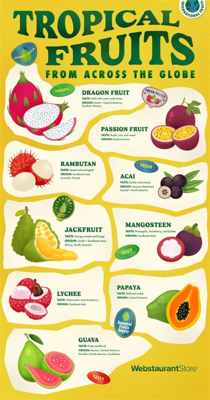 Discover the Delight of Coconut Kitty: Your Guide to Tropical Goodness
