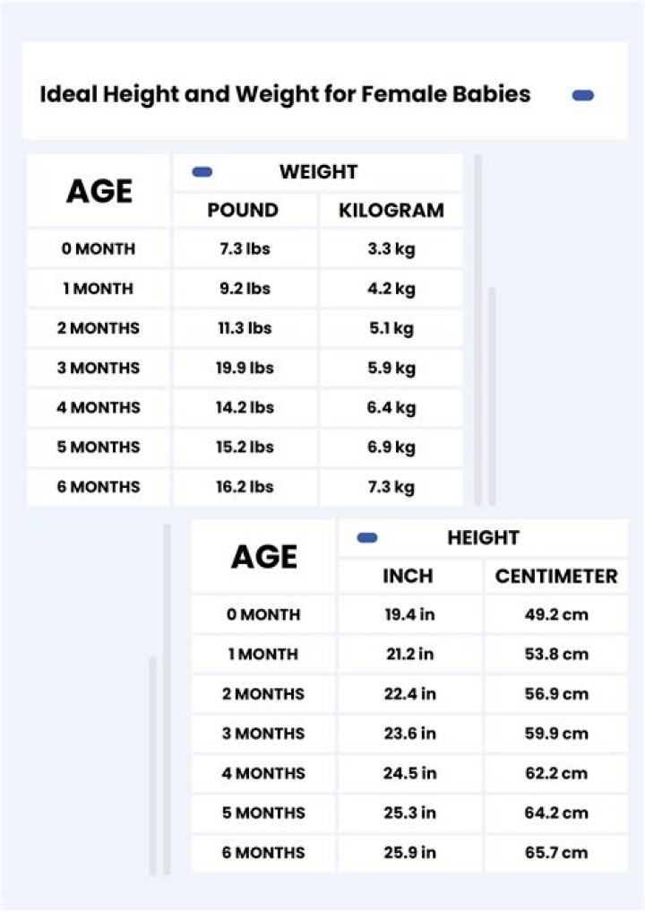 Discover The Untold Truths Behind Chris Licht's Height, Weight, And Net Worth