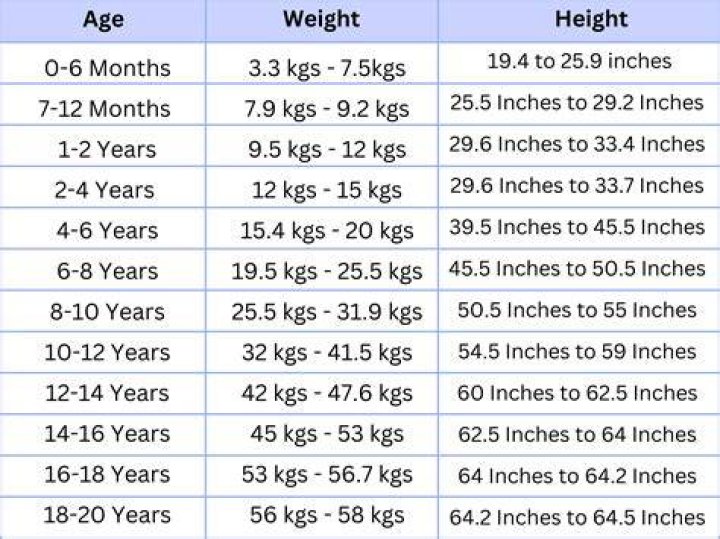 Discoveries From His Wikipedia, Age, And Height