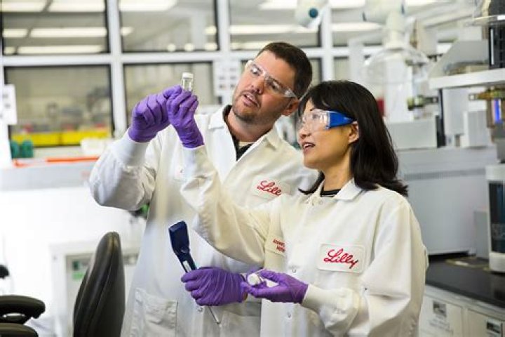 Discovering Lilly Vig: The Social Star and a Pharmaceutical Giant