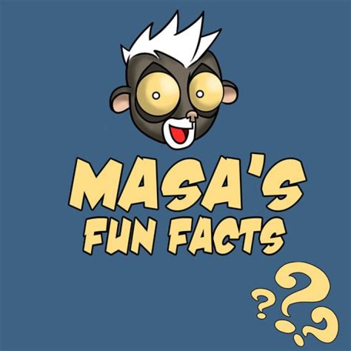 Discovering masafun. com: A Look at Online Fun and Safety