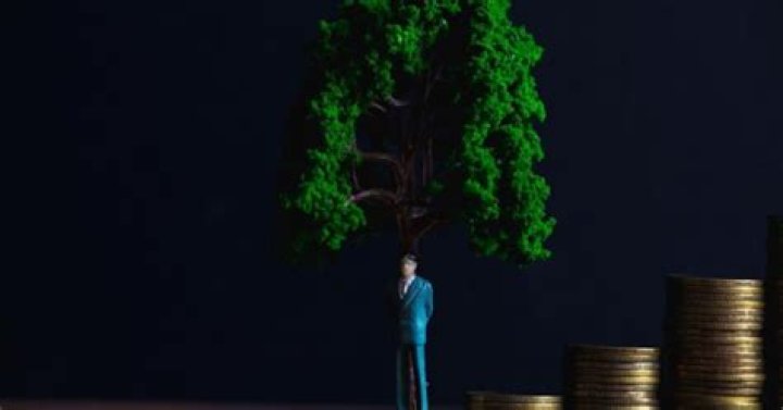 Discovering What money 6x.com Could Mean for Your Finances
