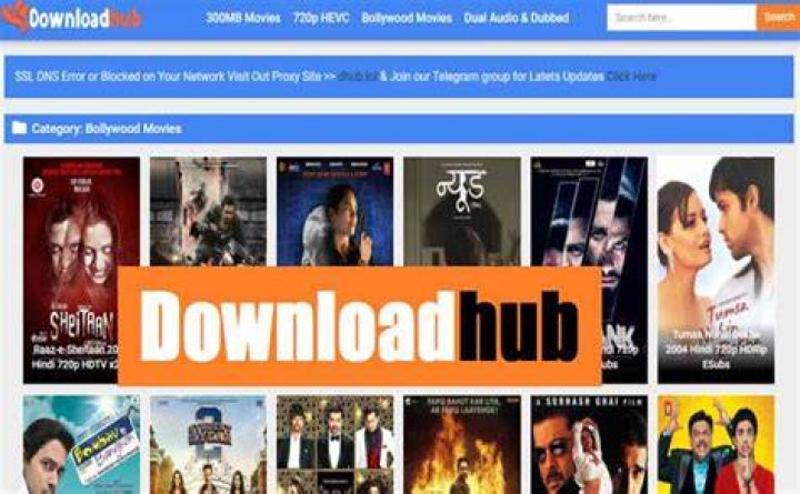 Downloadhub 300 MB: Your Go-To for Quick Video Saves and Streaming