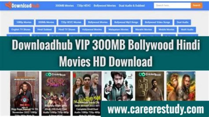 Downloadhub 300MB: Your Go-To for Quick Video Grabs