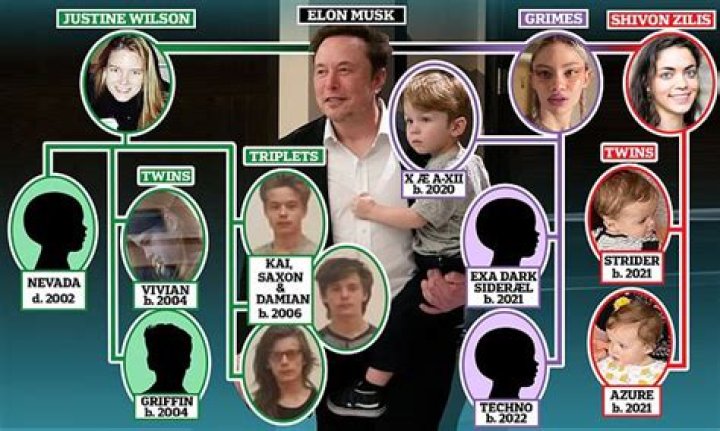 Elon Musk Saxon Musk: Unpacking the Life of a Tech Heir