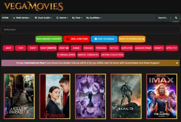 Exploring "site:vegamovies.ms": What People Are Looking For Online