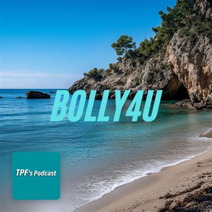 Exploring bolly4u. study: A Look at Online Movie Access