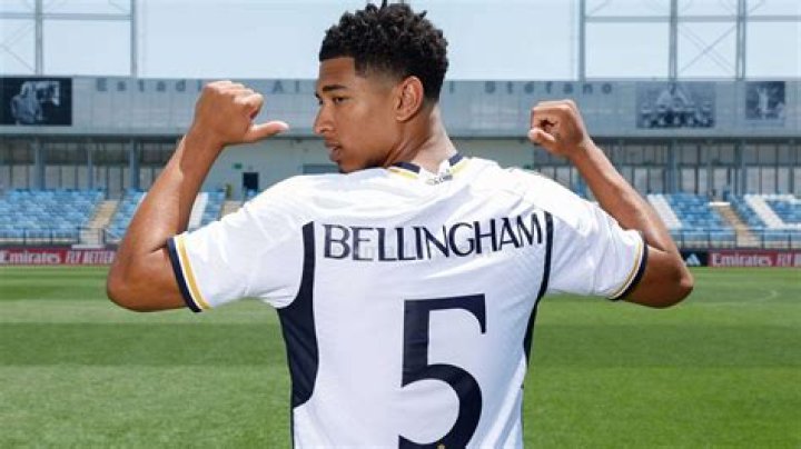 Exploring Denise Bellingham: A Look at a Name with Deep Roots