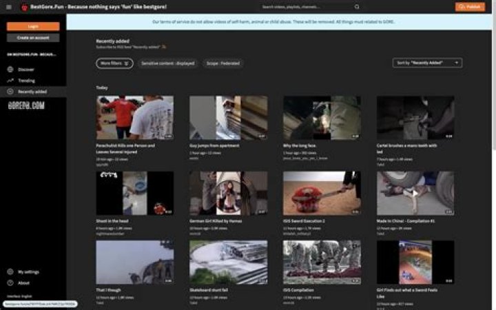 Exploring Gore Websites: A Look at Graphic Online Content in 2024