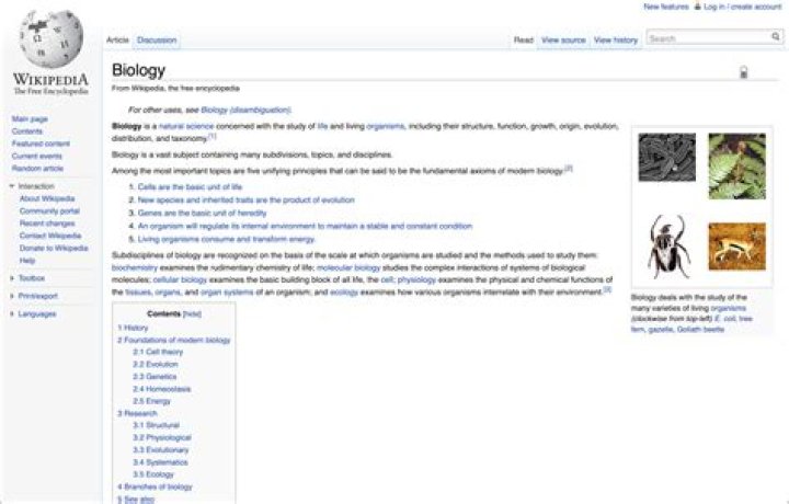 Exploring Her Wikipedia Page For Unseen Insights