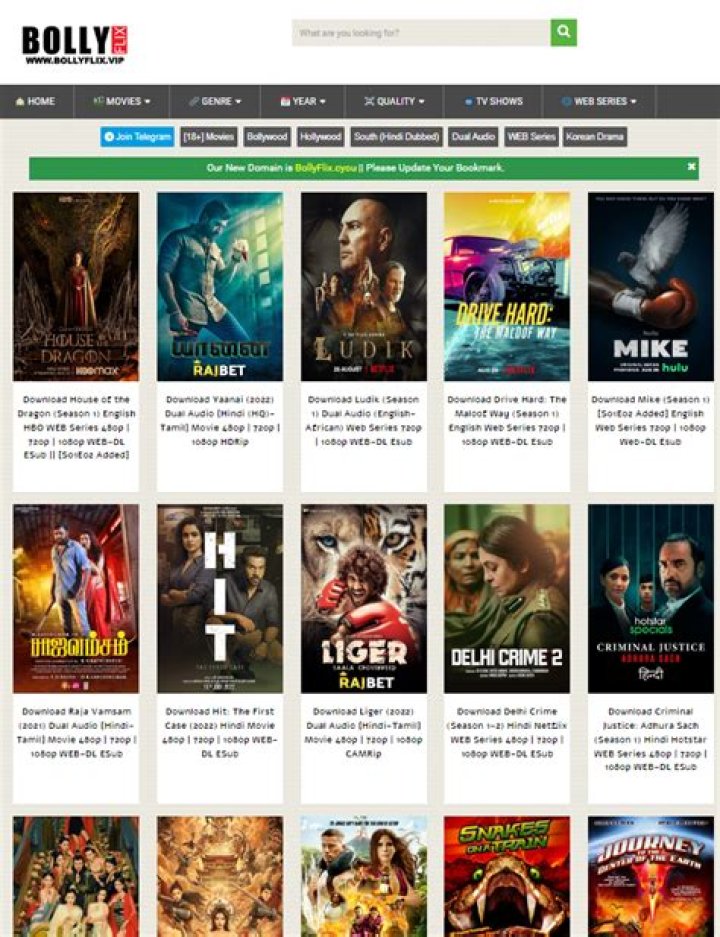 Finding Your Next Great Film: Exploring the World of Bollyflix Movies