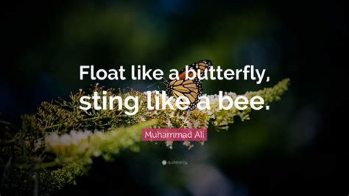 Float Like a Butterfly, Sting Like Ab-bee