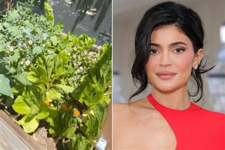 Kylie Jenner Is Growing Fruit and Vegetables in Her Garden, Shares a Look