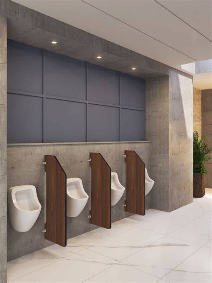 Lizzy Caplans NSFW Story About a Urinal Is a Real Treat