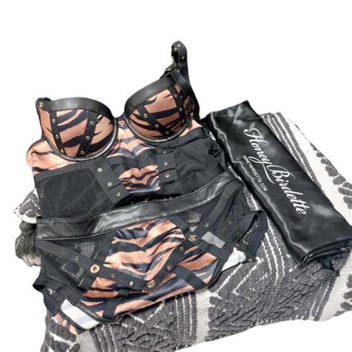 Money Birdette: Unpacking the Allure of Premium Underthings and Swimwear