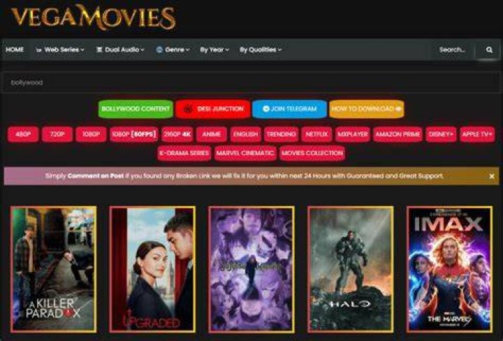 Netflix Archives and Vegamovies: Finding Your Favorite Shows Safely