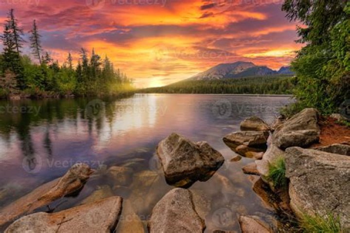 quiero a agua video: Discover Calming Scenes and Essential Insights