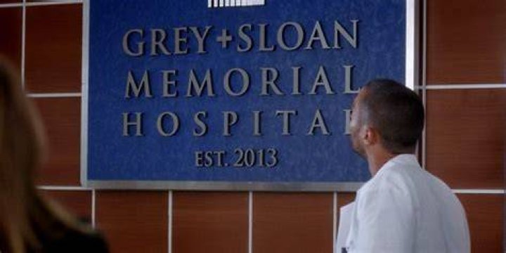 Sam Altman and Grey's Anatomy: Could AI Reshape Grey Sloan Memorial?