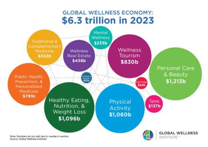 The **alphag dream bubble**: Blending Wellness Tech with Financial Growth