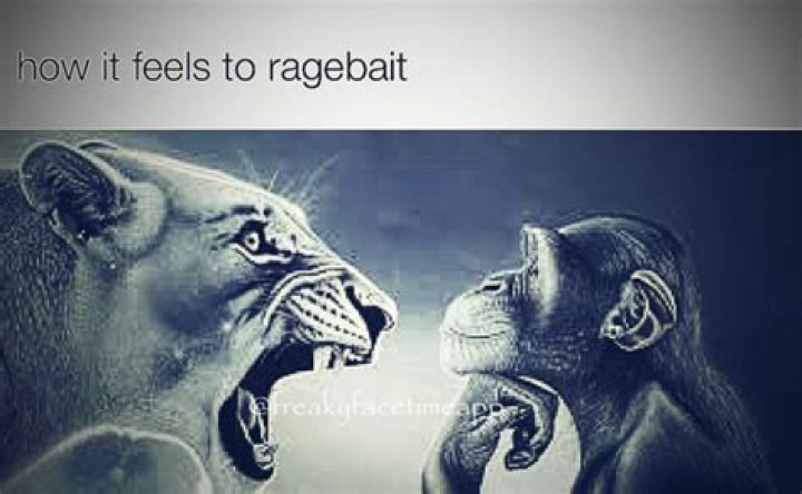 The **Angry Lion Monkey Meme**: Why It Roars So Loud in Our Minds