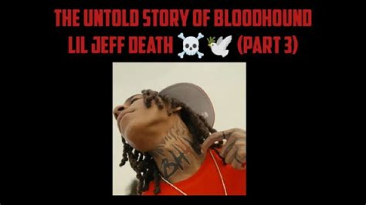 Understanding Bloodhounds: What to Know About "Bloodhound Lil Jeff Death Footage" and Responsible Care