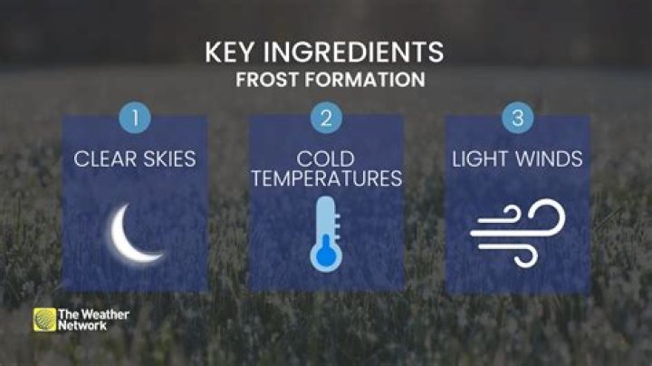 Understanding KY Frost: When Online Vibes Get Chilly