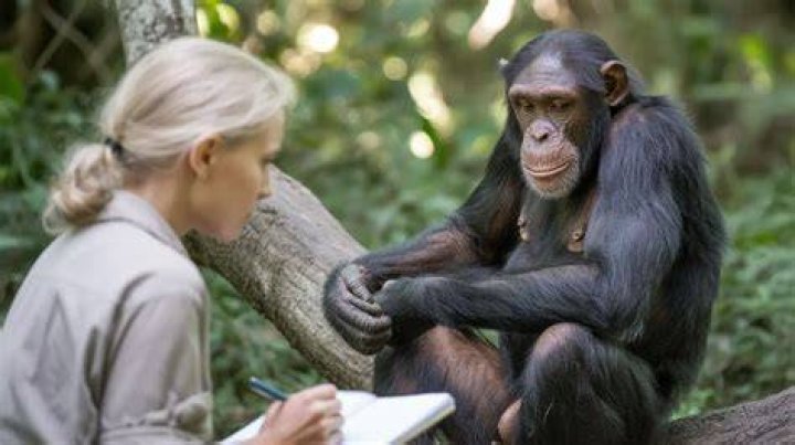 Unlock The Wisdom Of Jane Purucker Clarke: Discoveries And Insights