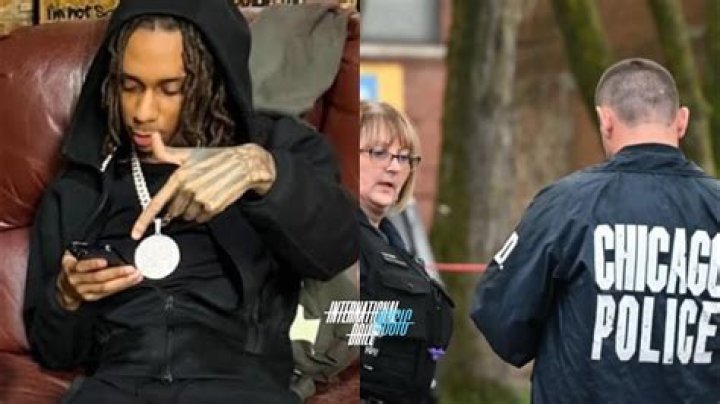 Unpacking the Query: Bloodhound Lil Jeff Murder Video and the Amazing Tracking Power of Bloodhounds