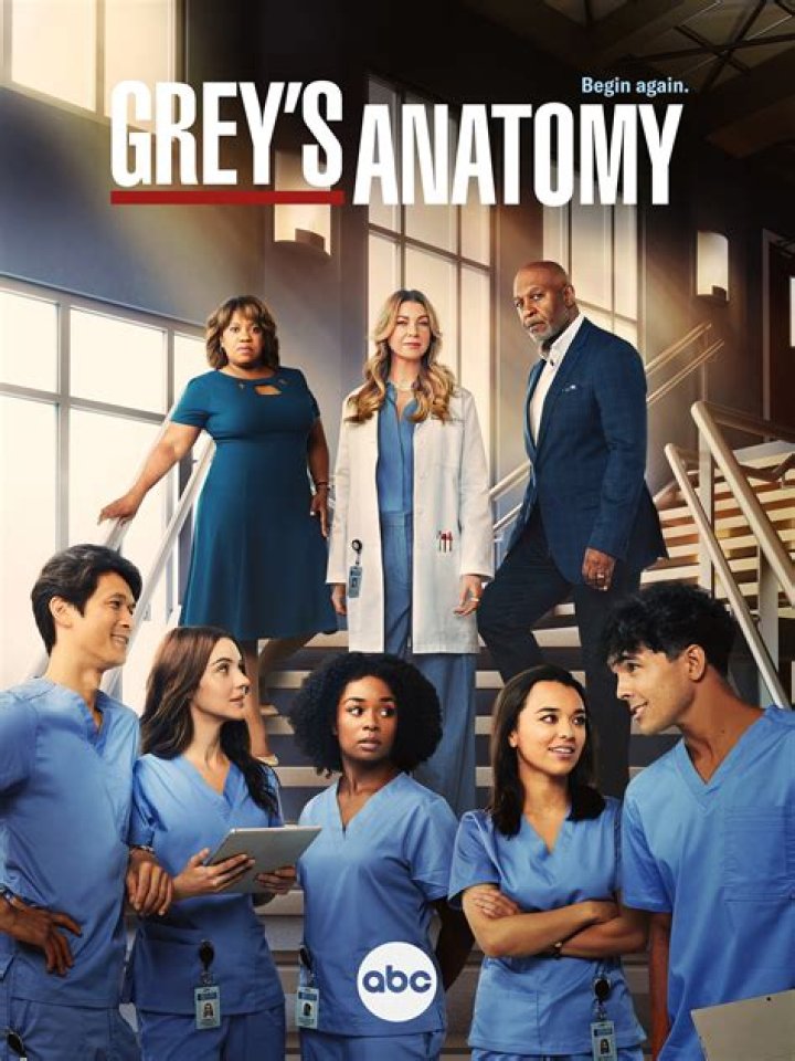 Unraveling Dr. Teddy Altman: The Enduring Heart of Grey's Anatomy