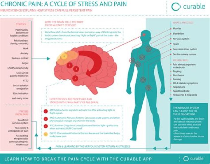 Unraveling Mental Health And Chronic Pain