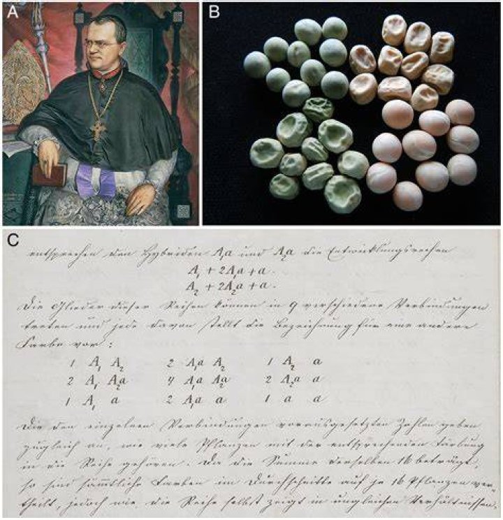 Unveiling The Legacy Of Gabriel Prudent: Discoveries And Insights