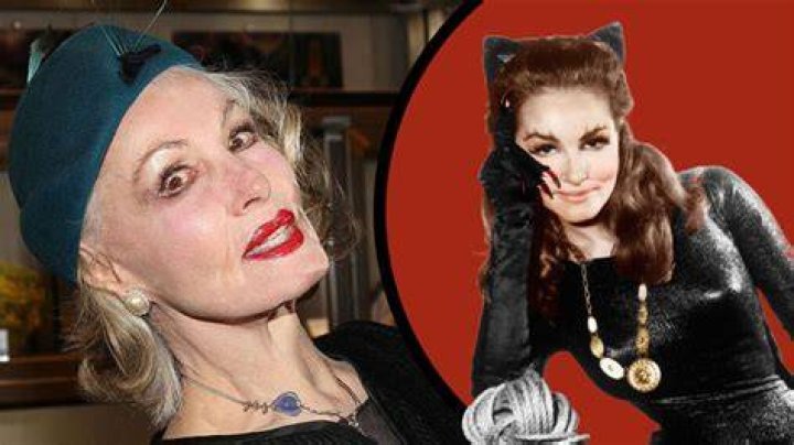 Unveiling The Secrets Of Julie Newmar's Net Worth
