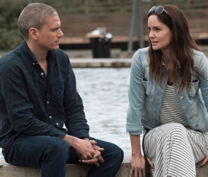 Wentworth Miller Girlfriend: Unpacking His Private Life and Relationships