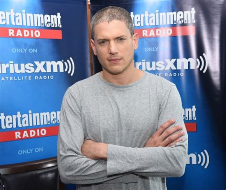 Wentworth Miller Net Worth: How His Iconic Roles Shaped His Fortune