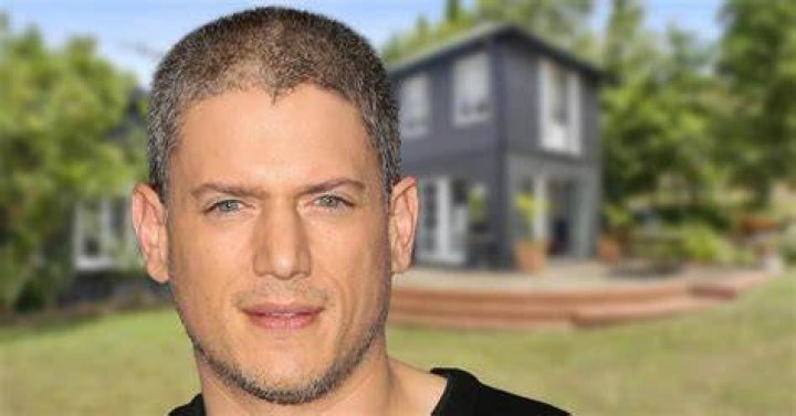 Wentworth Miller Net Worth: What You Should Know About His Career and Earnings