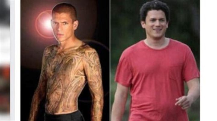 Wentworth Miller Sevgilisi: Merak Edilen Özel Hayatı