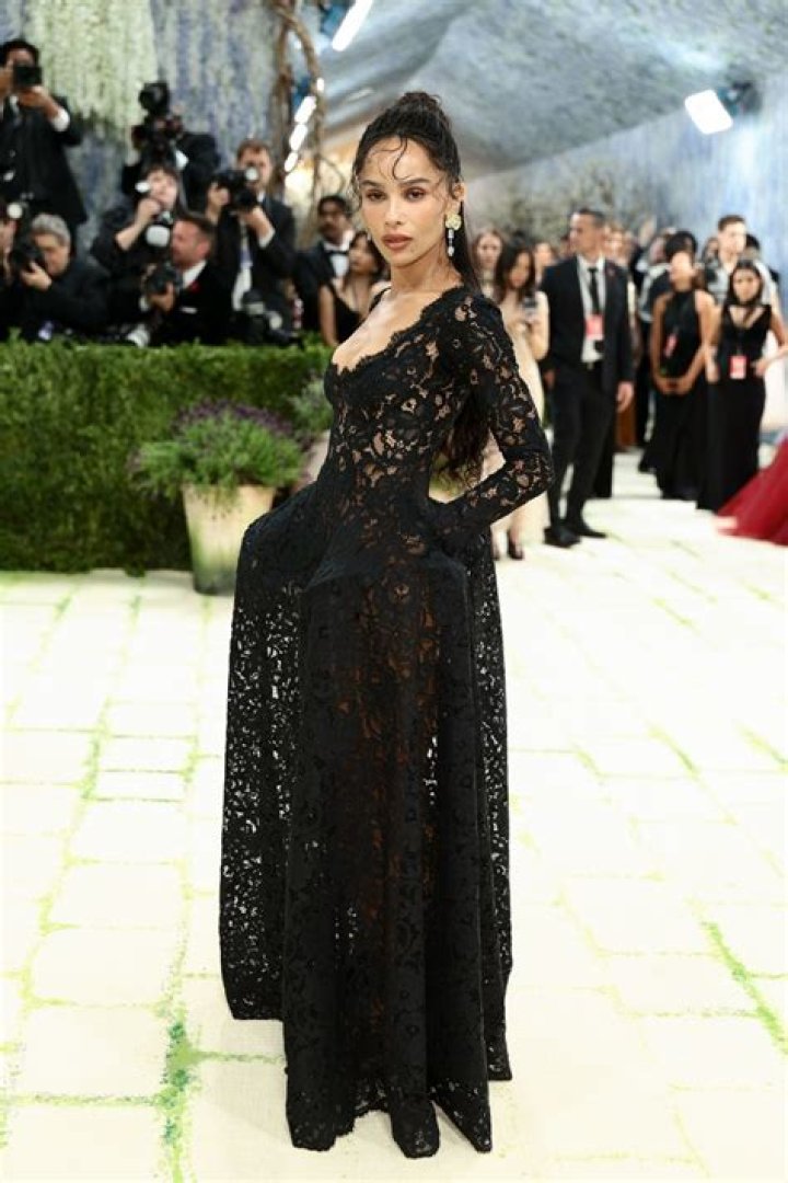 Zoe Kravitz Claps Back at Critic Over Her Met Gala Dress